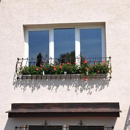 Guest house Vaclav 2*